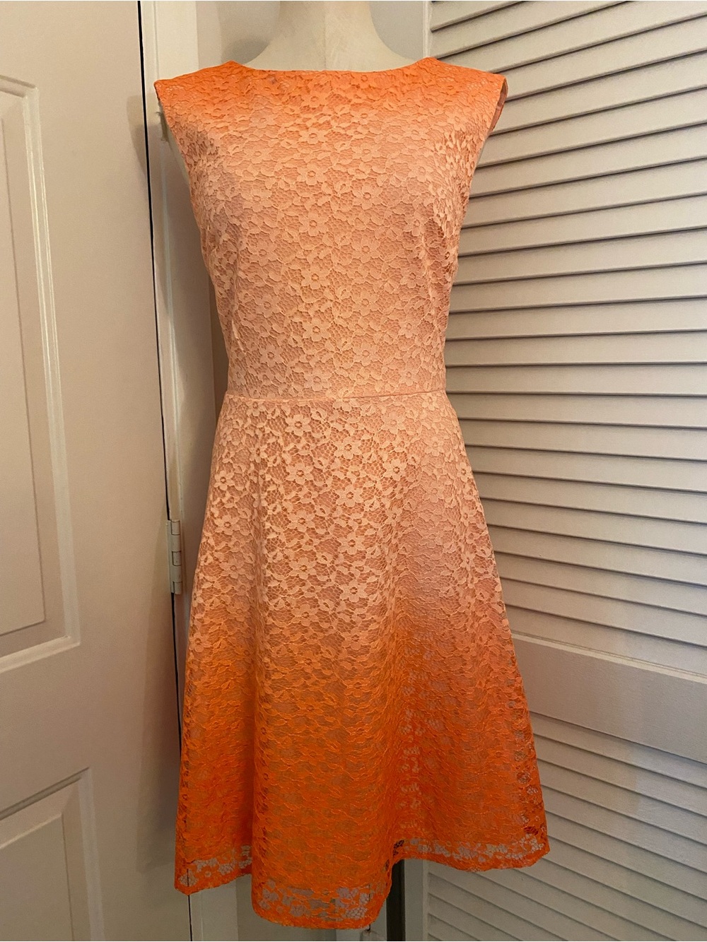 Studio One Peach-to-Orange Lace Fit & Flare Mini Dress- Size 16